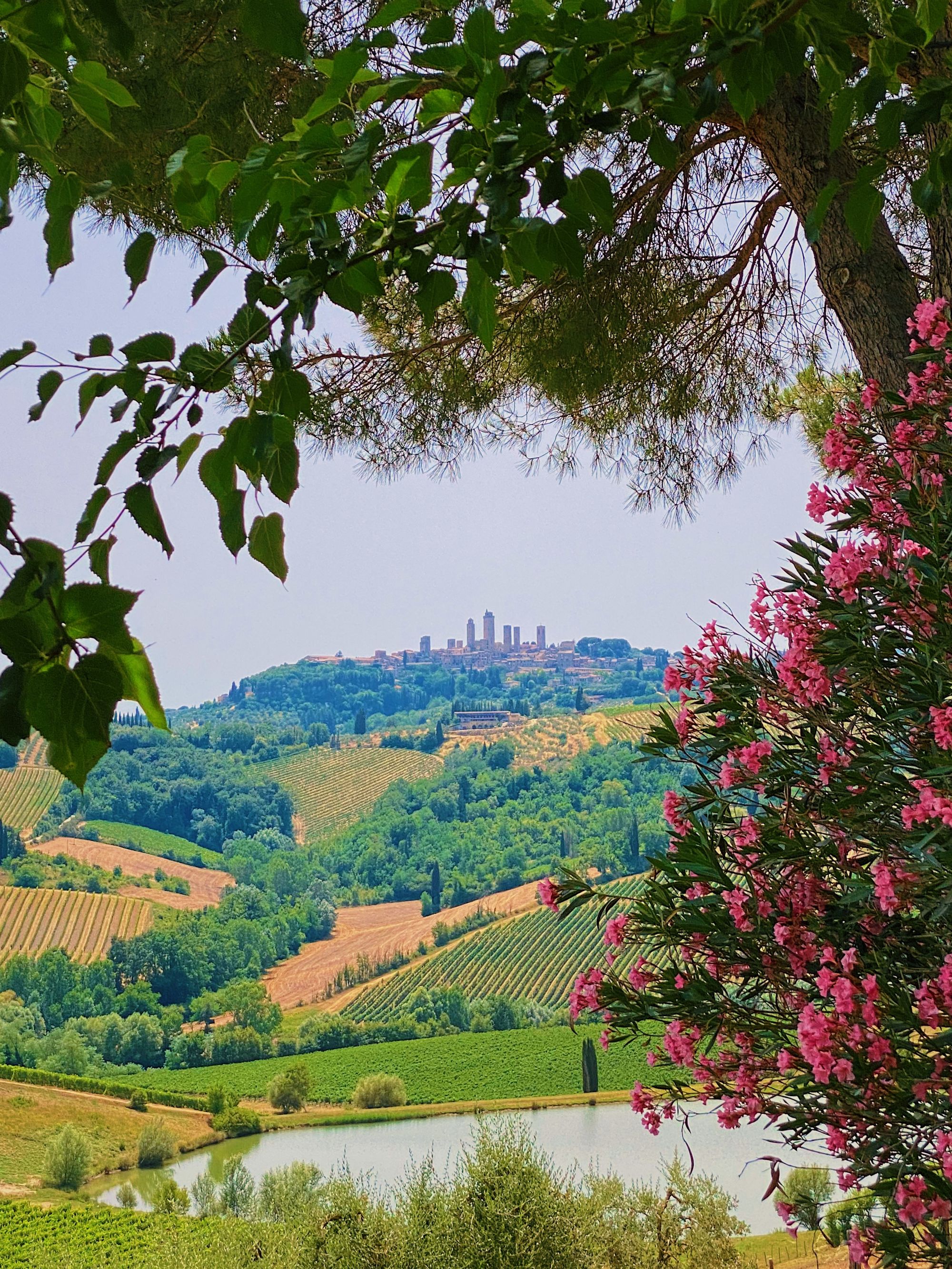 Tuscan landscape with San Gimignano seen in the background, summer vacation 2021