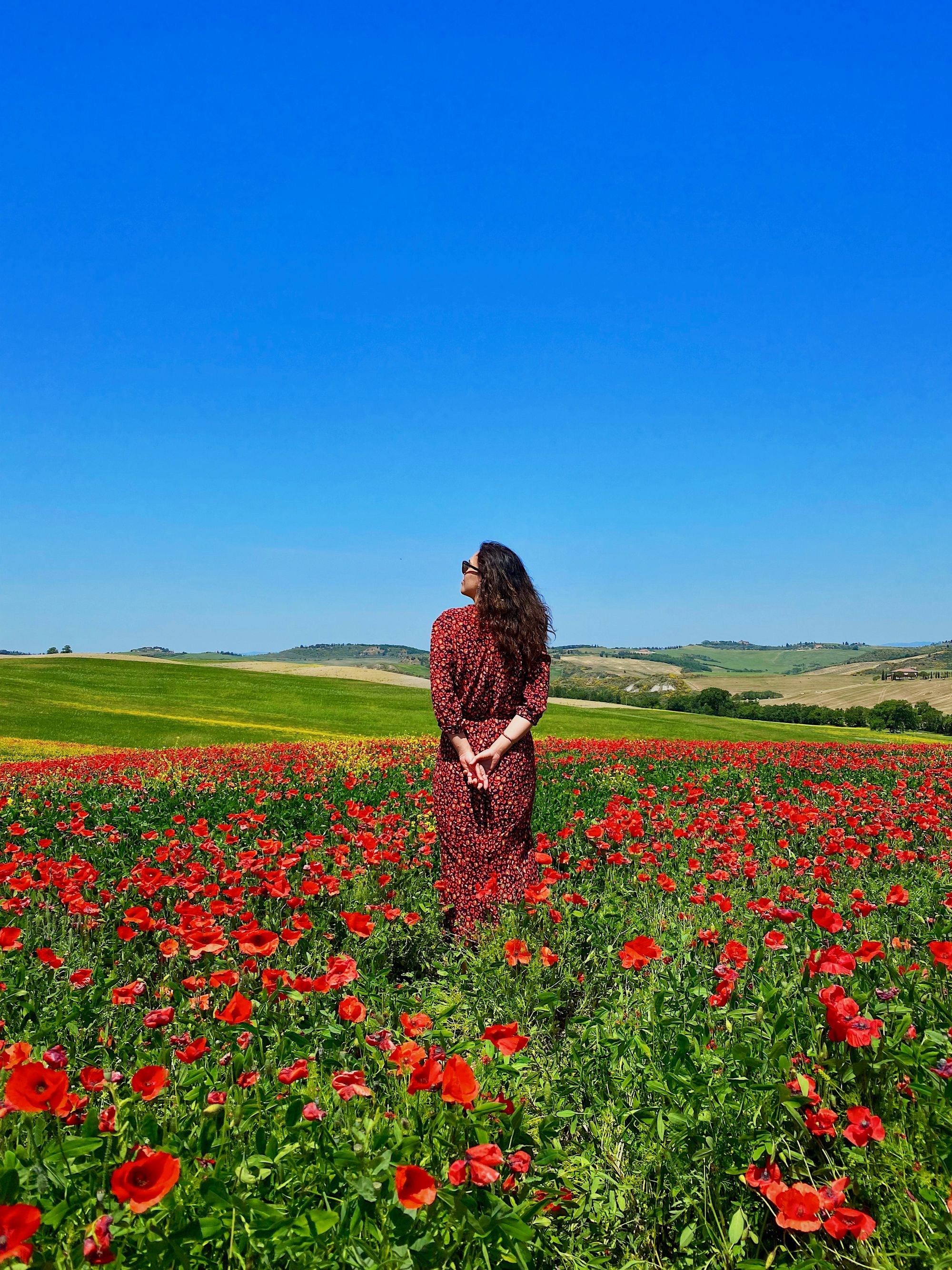 My wife staying in a poppy flowers field