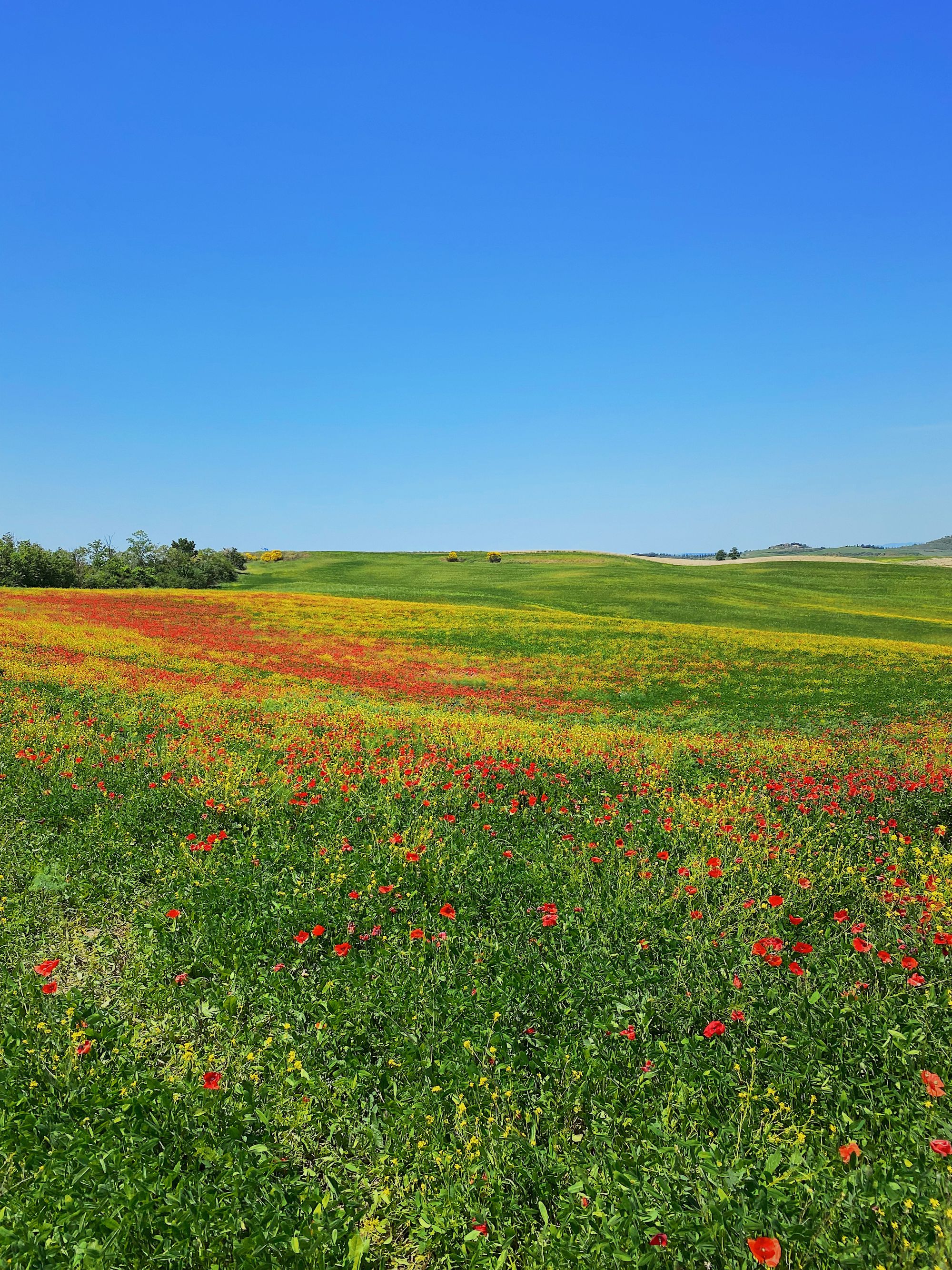 The first road trip part 02: our itinerary in Tuscany while working remote