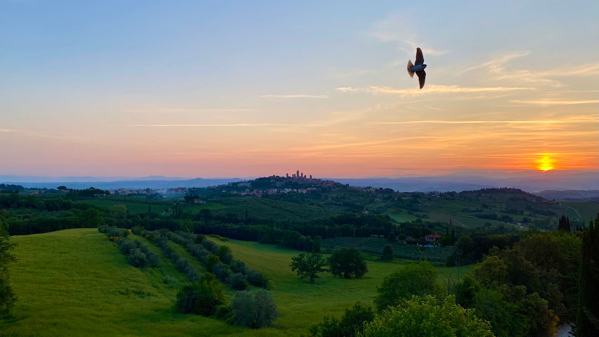Orange sunset over San Gimignano and the surrounding area with birds flying around