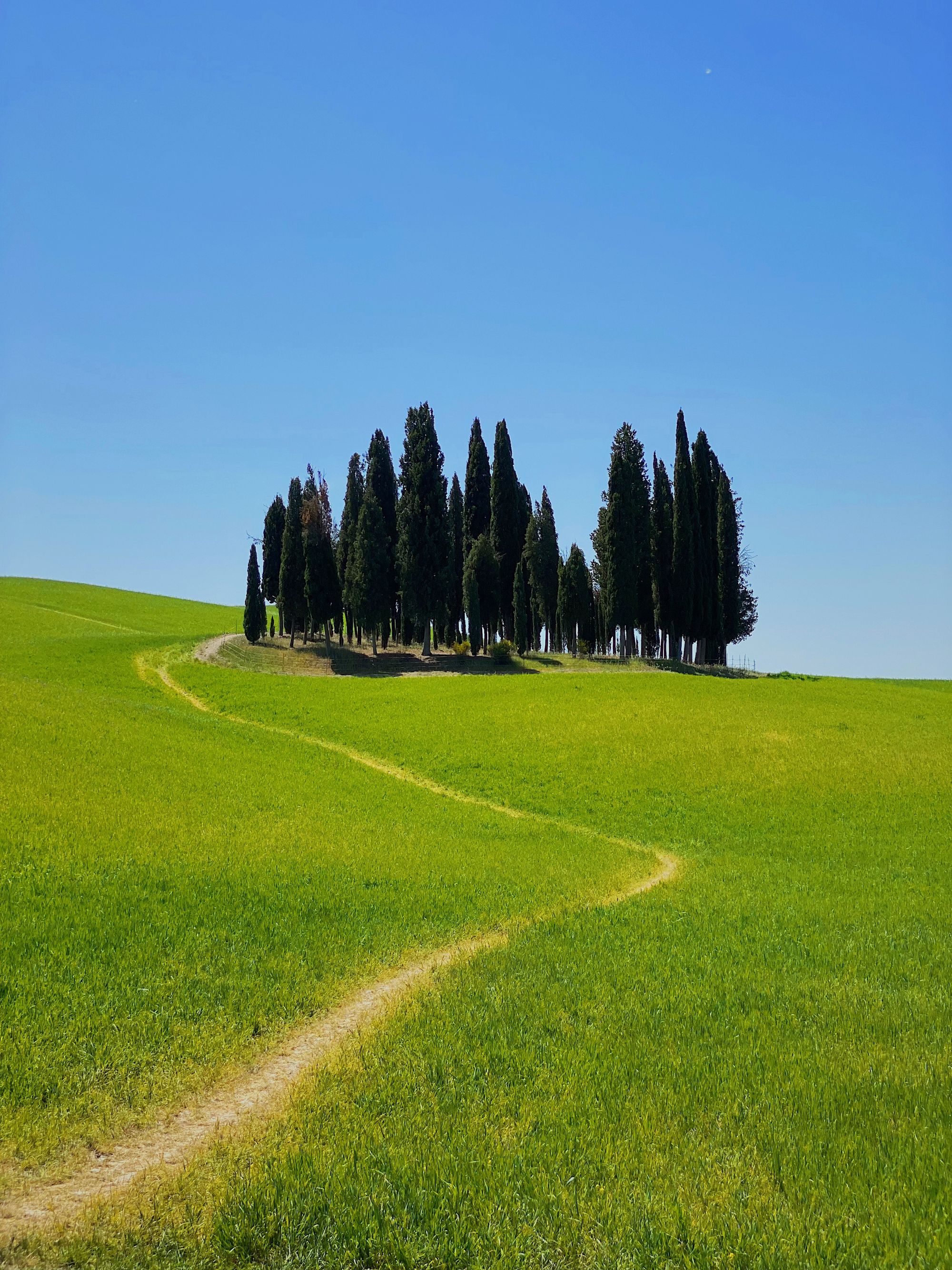 The first road trip part 02: our itinerary in Tuscany while working remote