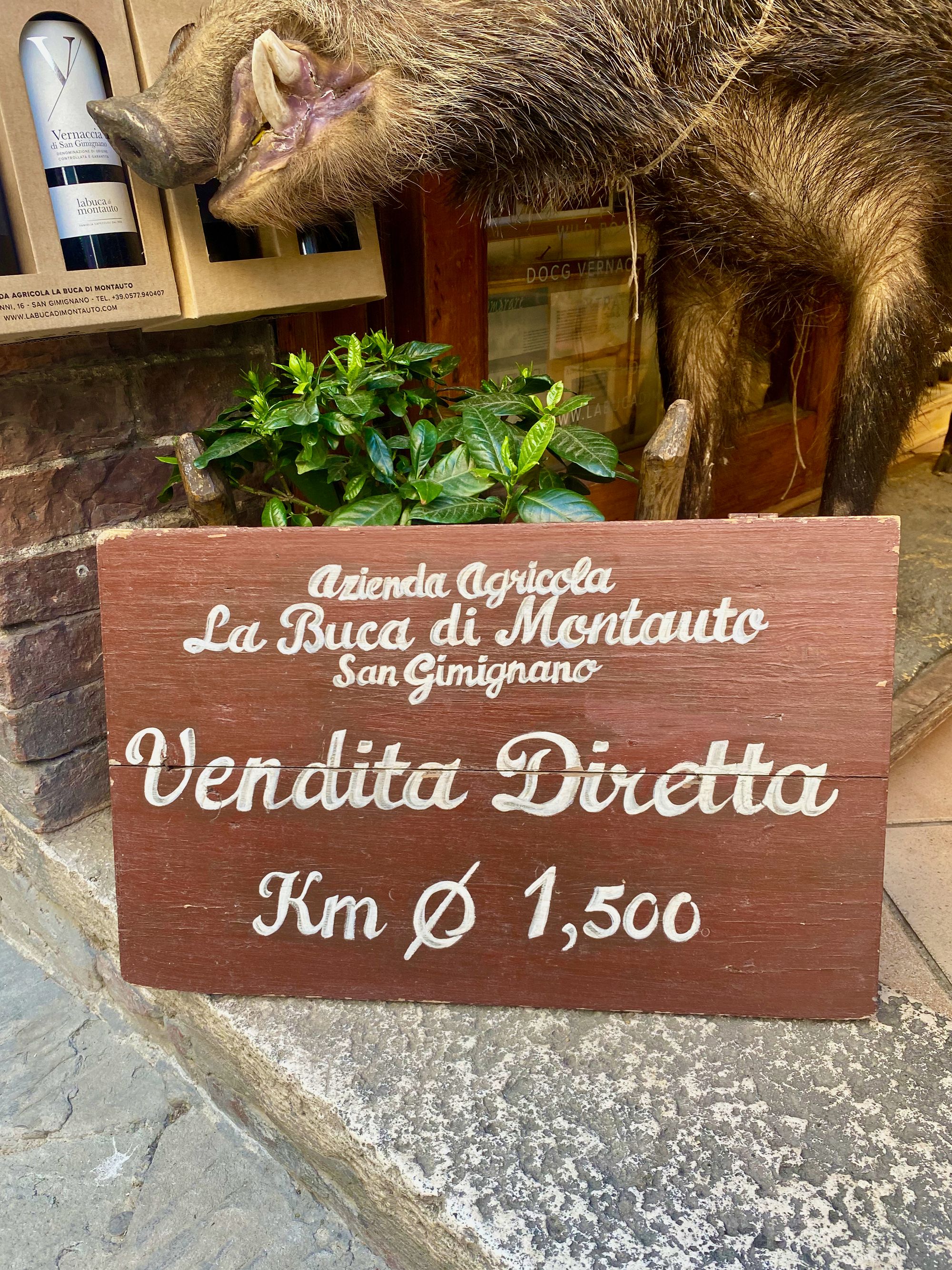 The first road trip part 02: our itinerary in Tuscany while working remote