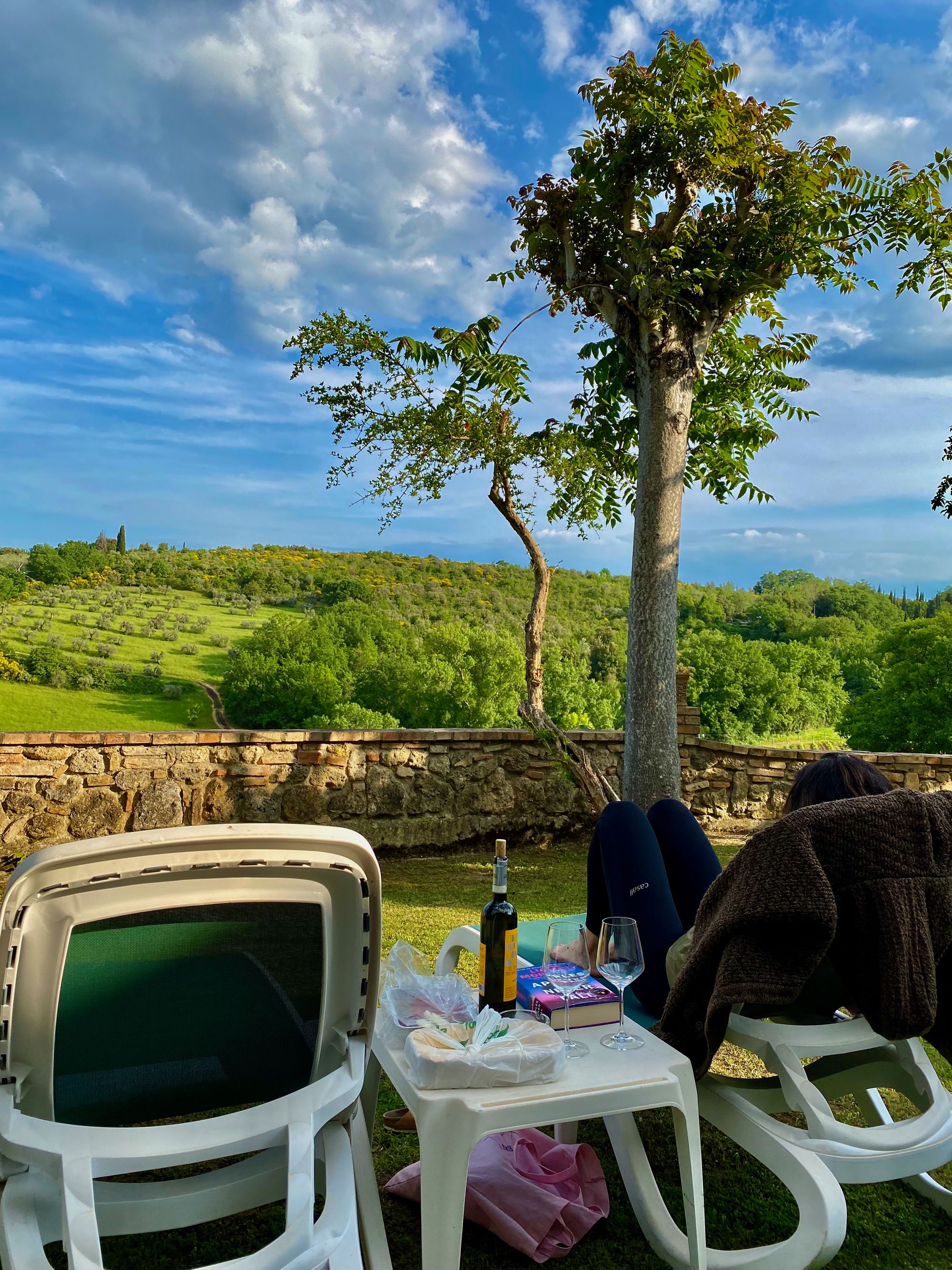 Lunch in the backyard of the hotel, overlooking a wine plantation