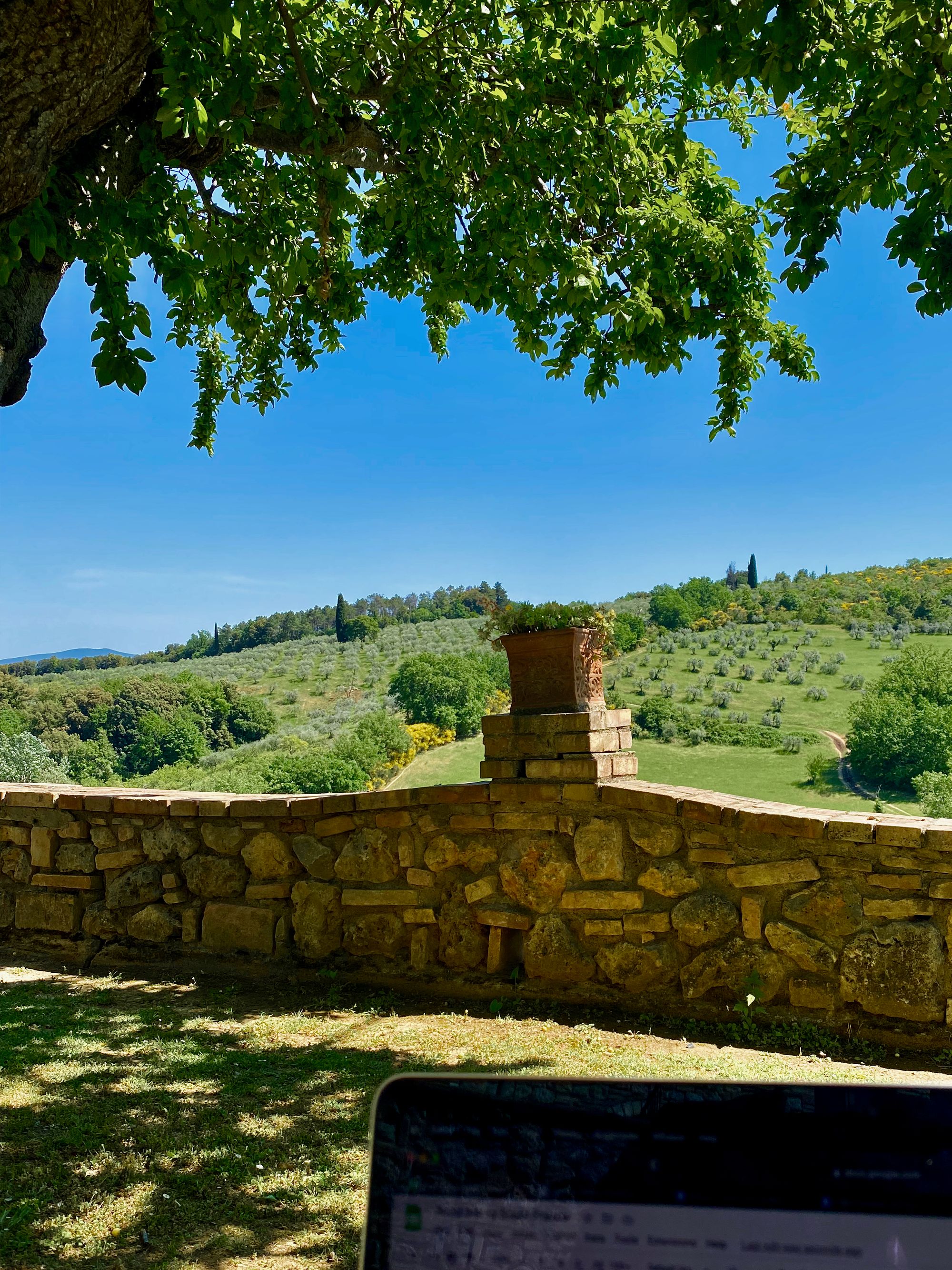 Working from the laptop in the backyard of the hotel, looking over the green hills