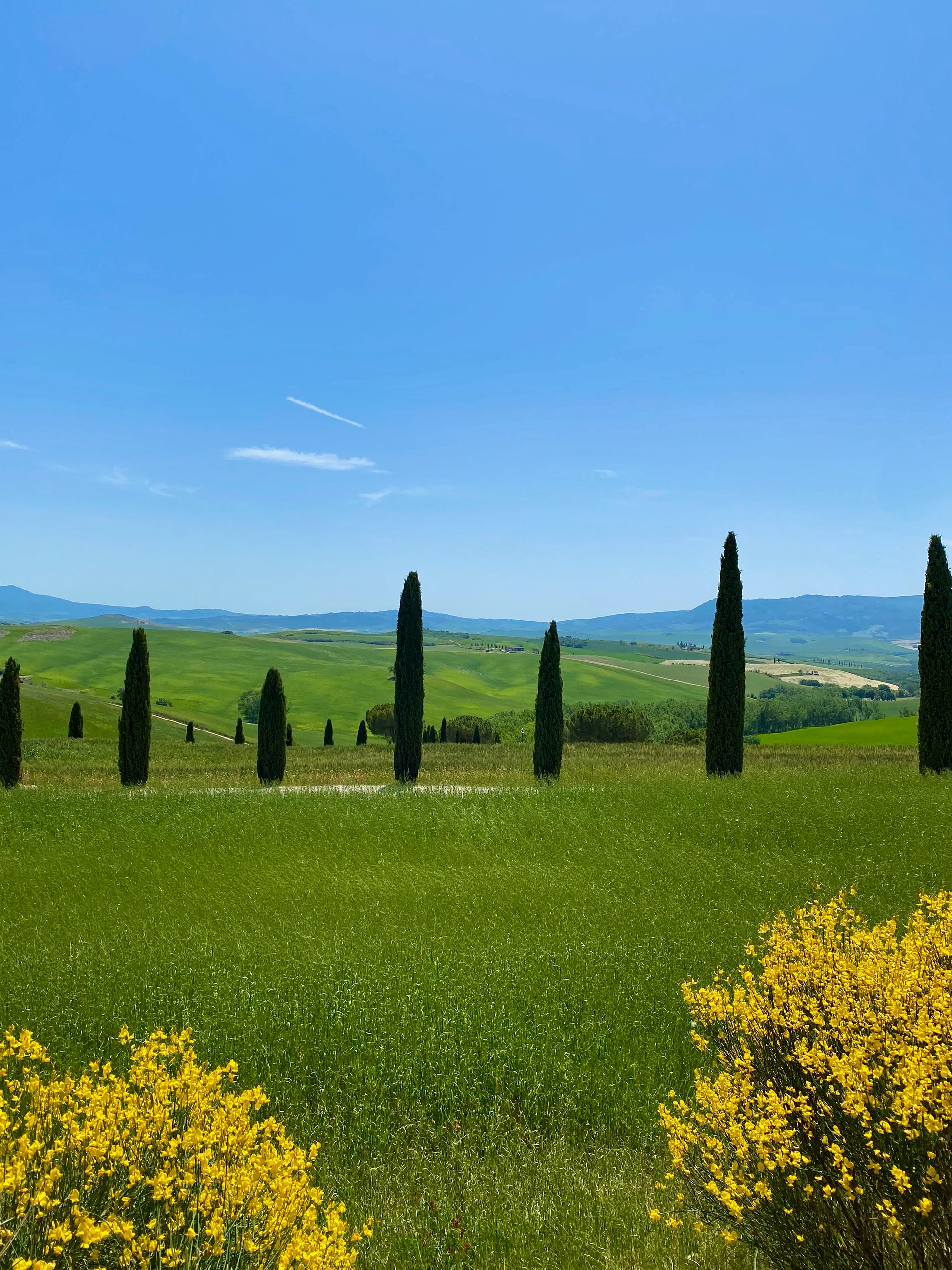 The first road trip part 02: our itinerary in Tuscany while working remote