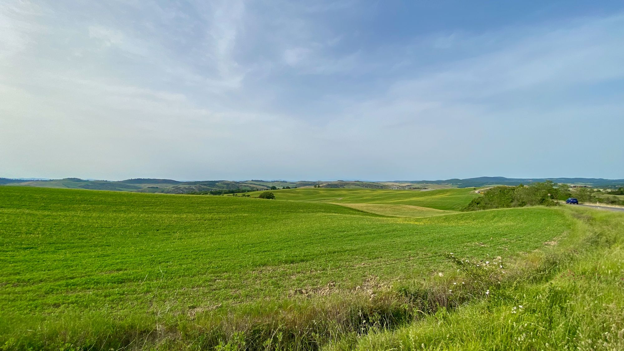 Vista with the green rolling hills of Val d'Orcia area of Tuscany