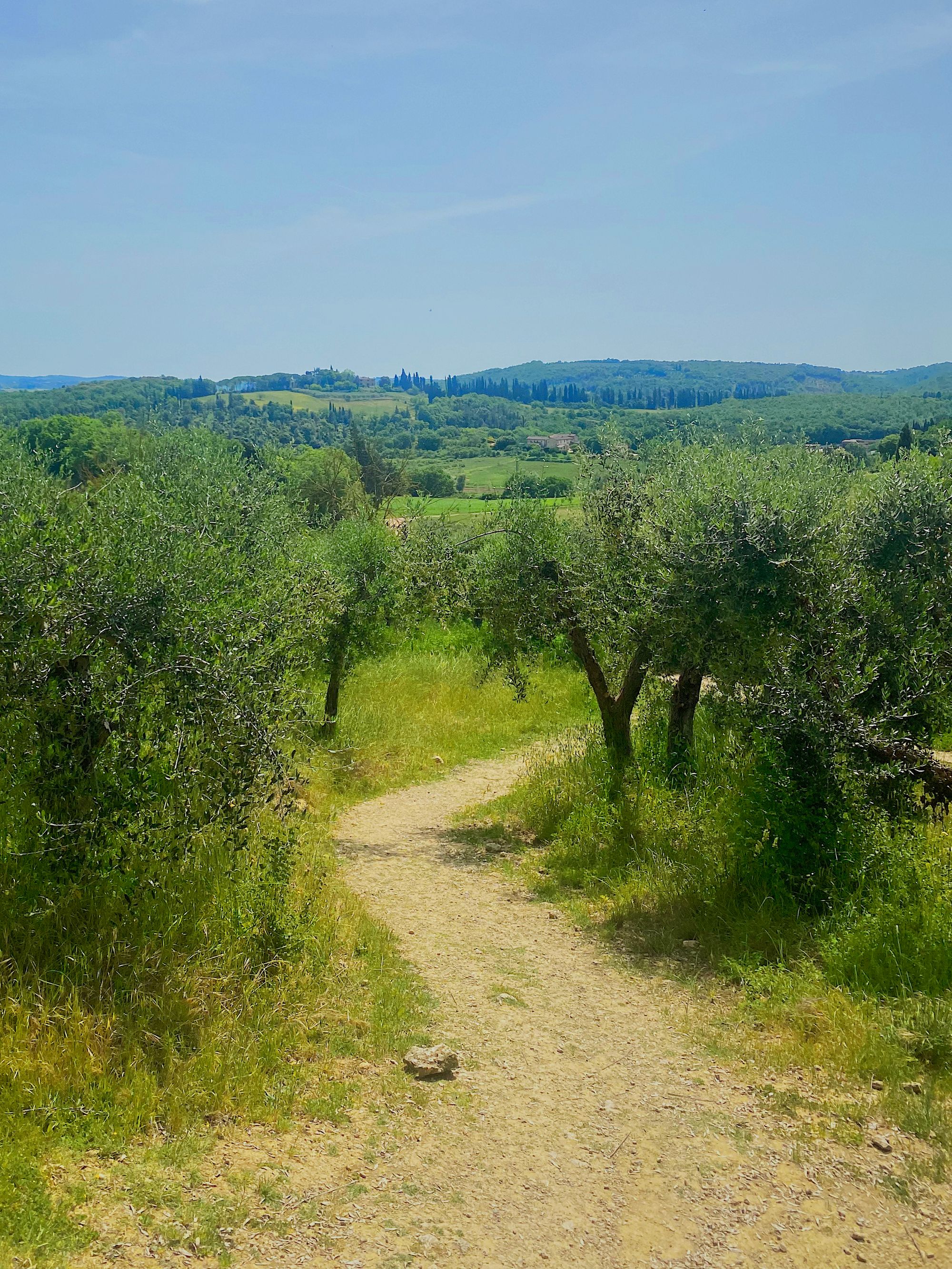 The first road trip part 02: our itinerary in Tuscany while working remote