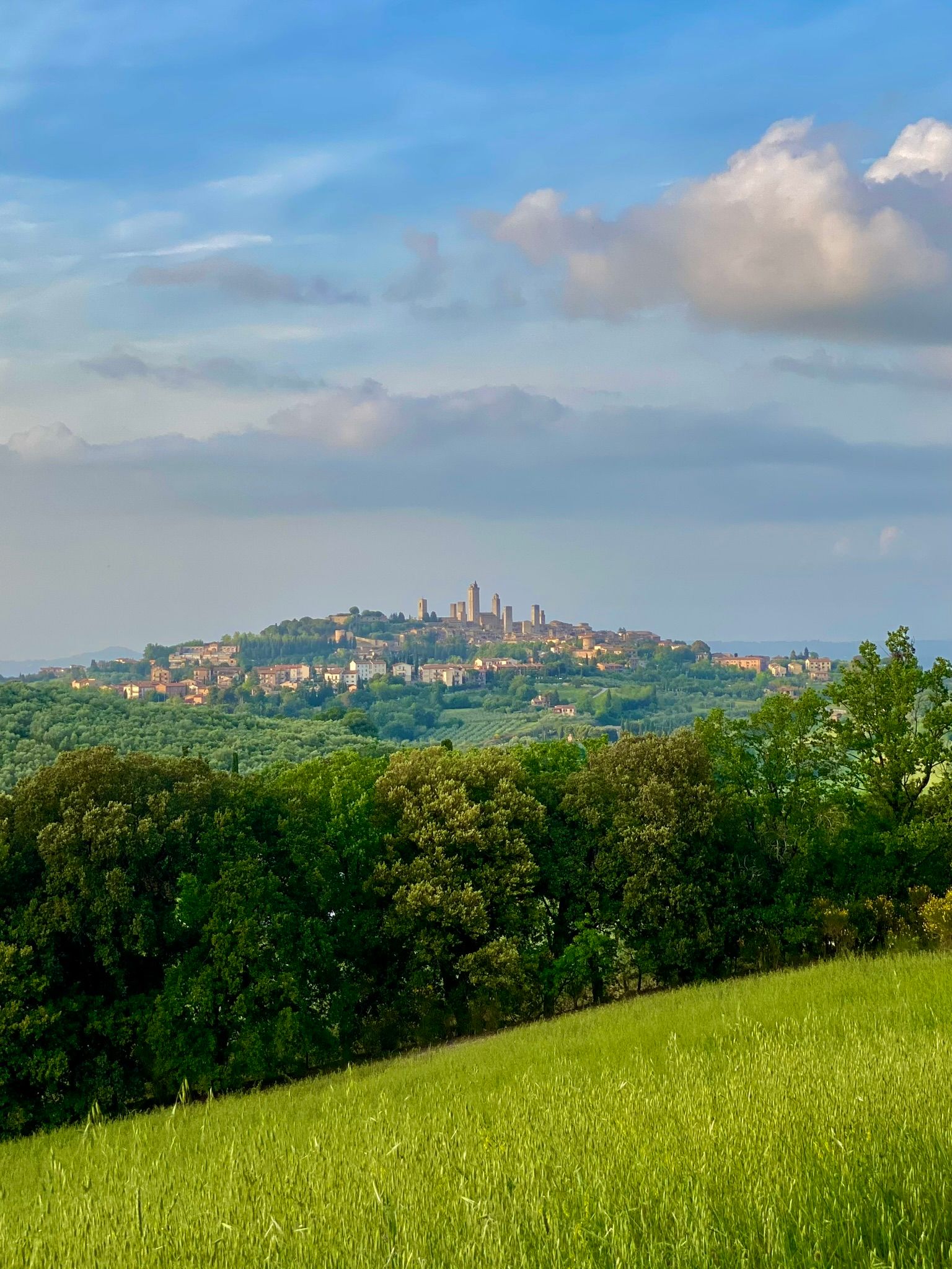 The views over San Gimignano and the green surrounding area never got old