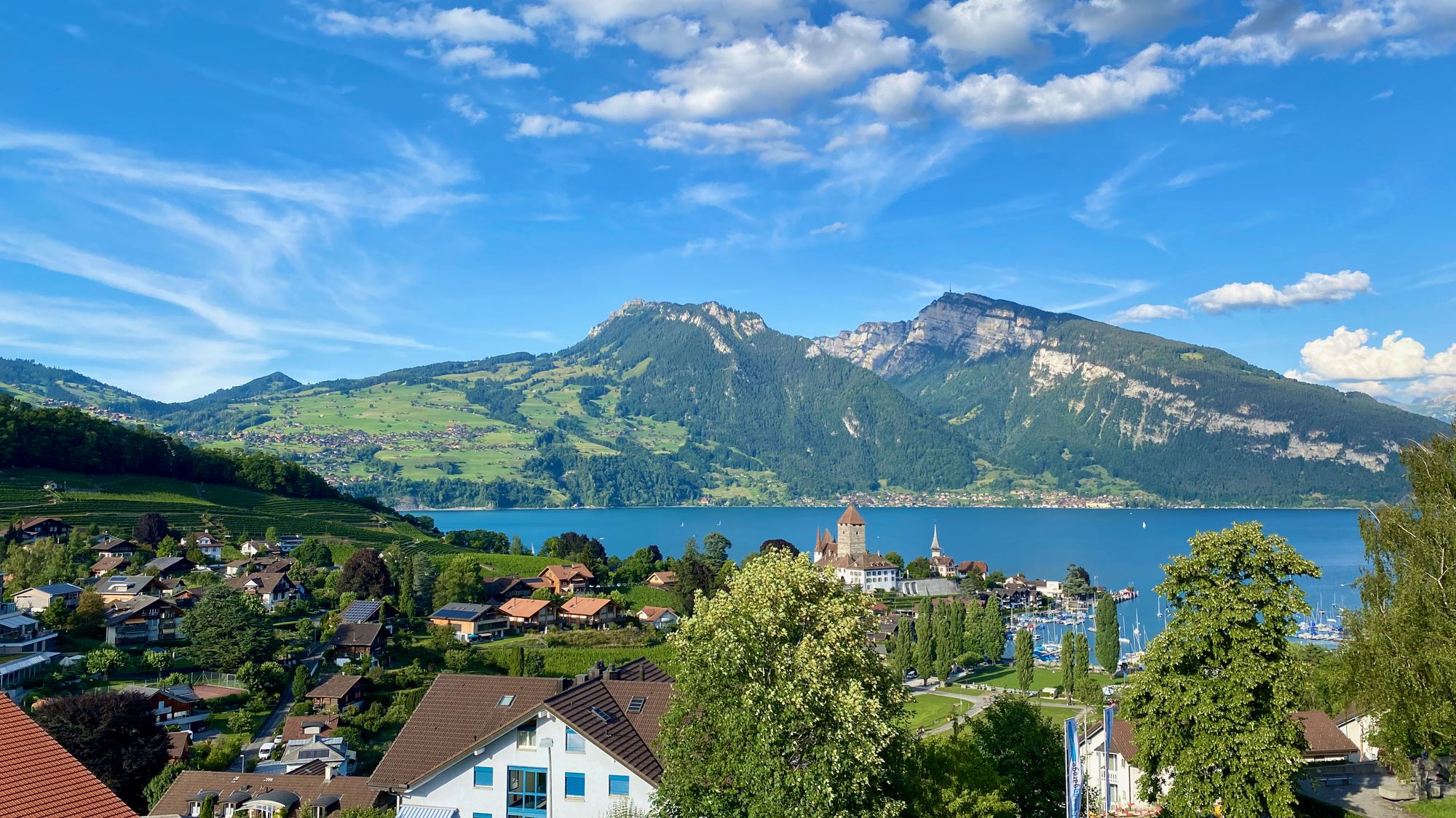 View over Lake Thun from Spiez