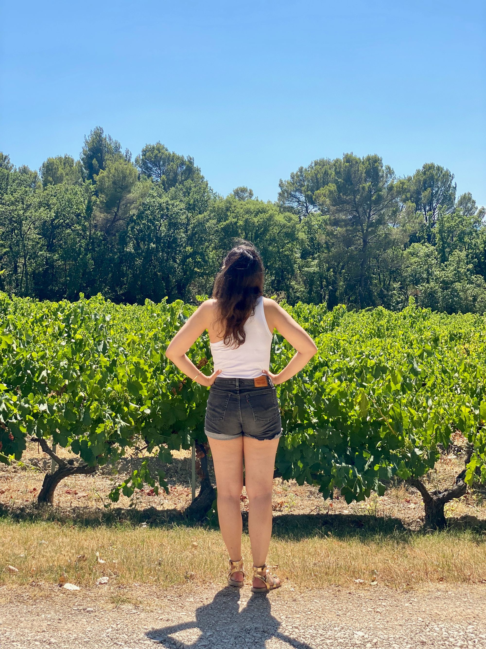 Second Road Trip Part 02: South of France in 8 days