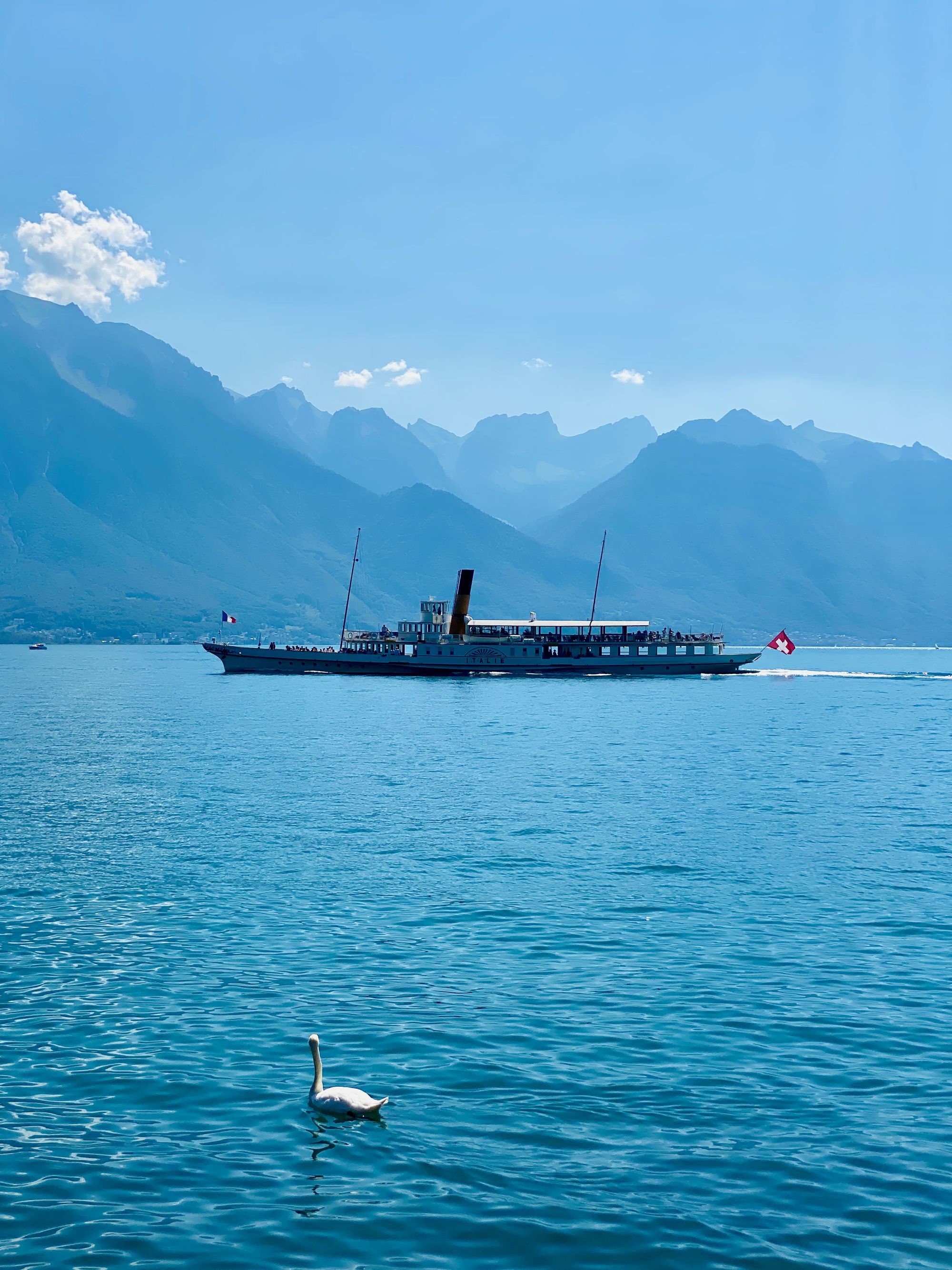 Swan and ferriboat on Lake Geneva, seen from Montreux