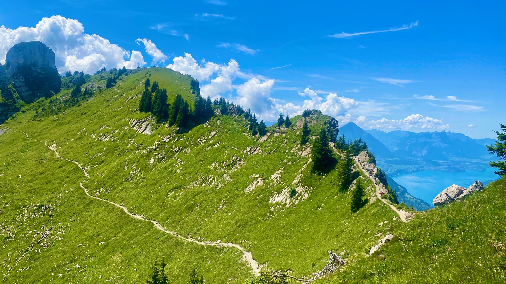 Schynige Platte panorama trail