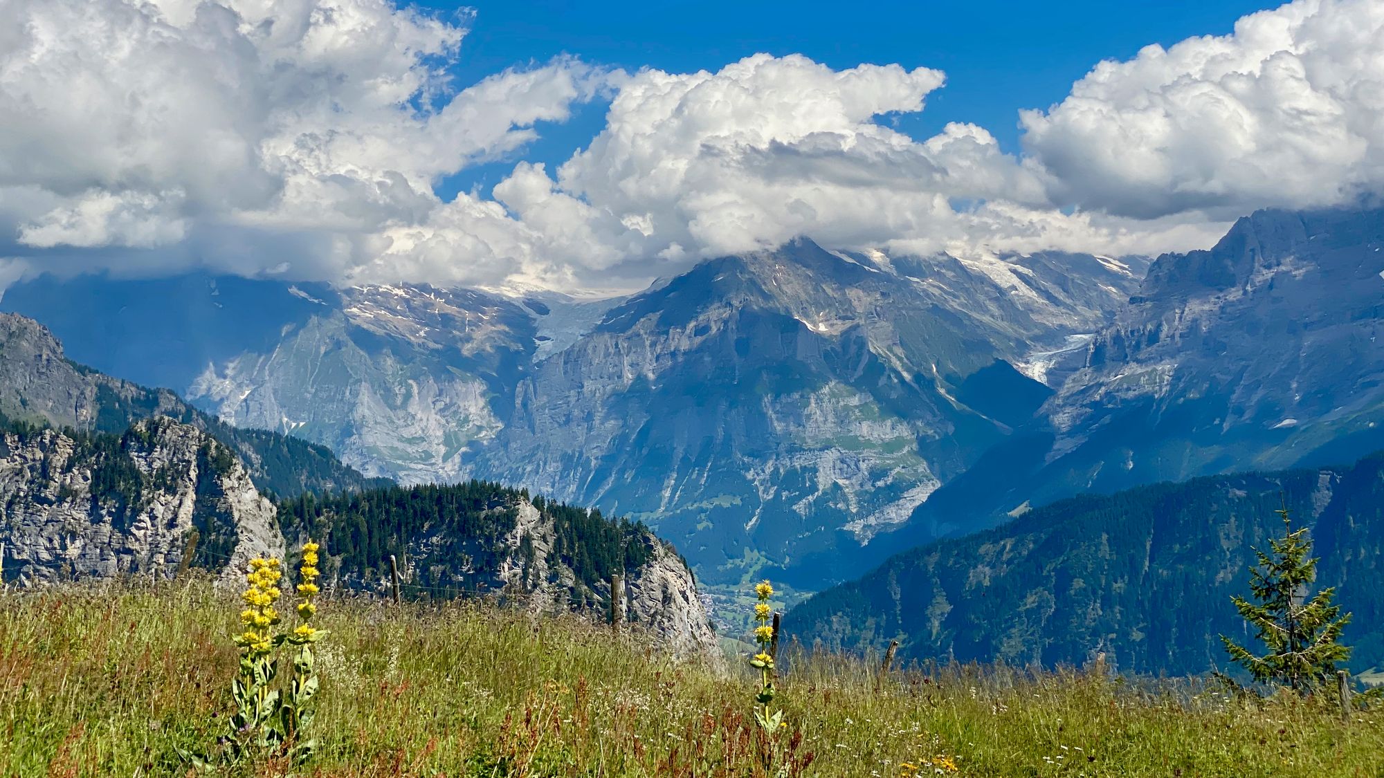 View from Schynige Platte panorama trail