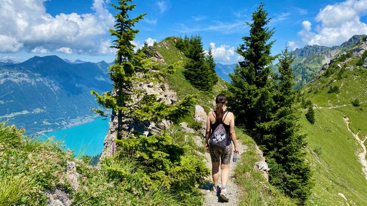 Hiking on the Schynige Platte with Lake Brienz on the left side